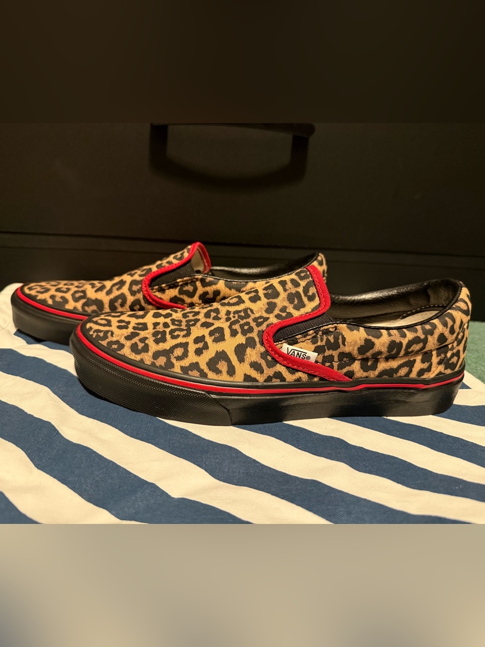 Custom Slip On Vans